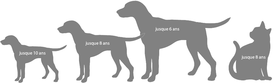 Conditions de souscription à l'assurance santé pour chiens et chats PetExpert